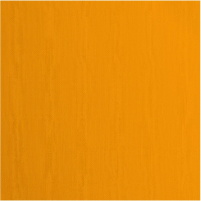 Florence Cardstock Paper 216 g - Mango