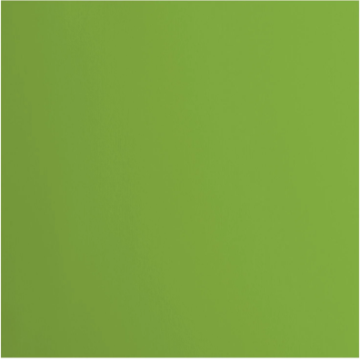 Florence Smooth Cardstock Paper 216 g - Frog