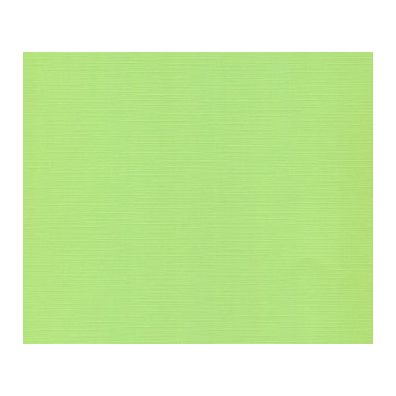 Linen Karton 12x12 - Lime