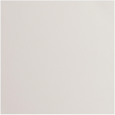 Florence Cardstock Paper 216 g - Cool Grey