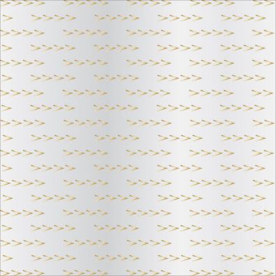 Signature Essentials Clear Paper Gold Arrows 12x12 Overlay fra T